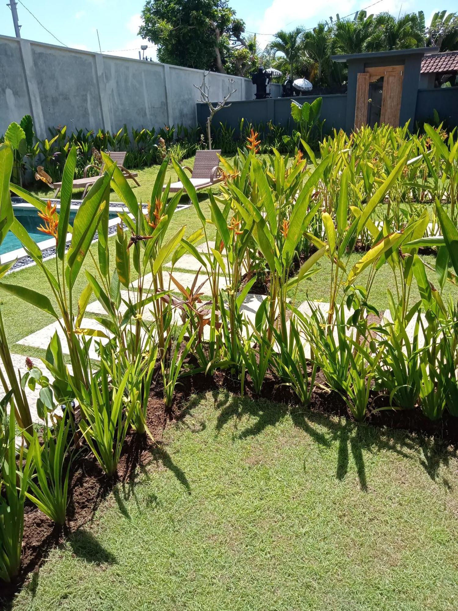 Parama Homestay Balangan Uluwatu Eksteriør billede